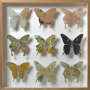 Map Butterflies